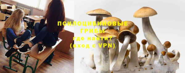 прущая мука Алексеевка