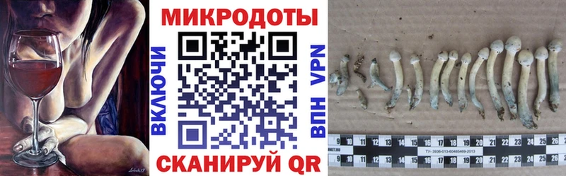 Галлюциногенные грибы мухоморы OMG онион Черепаново
